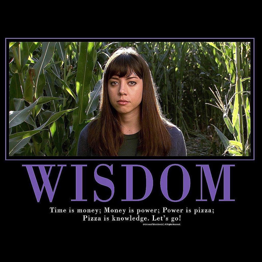 Wisdom Motivational Poster