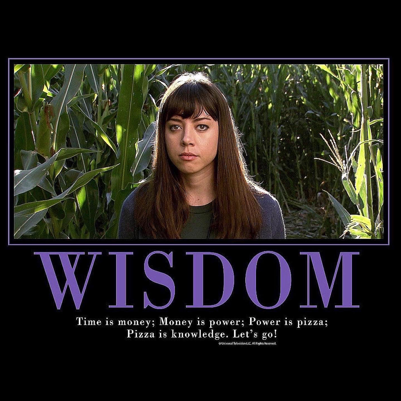 Wisdom Motivational Poster