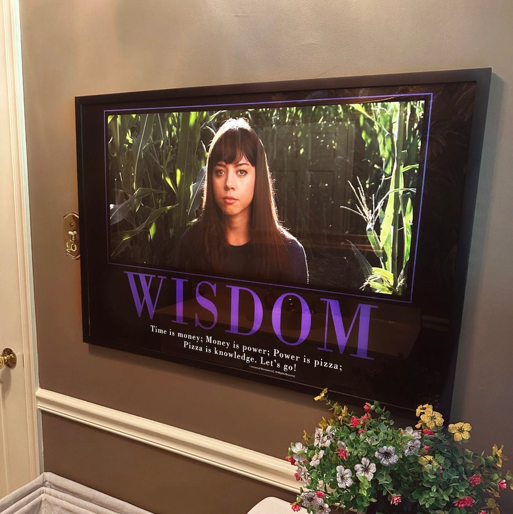 Wisdom Motivational Poster