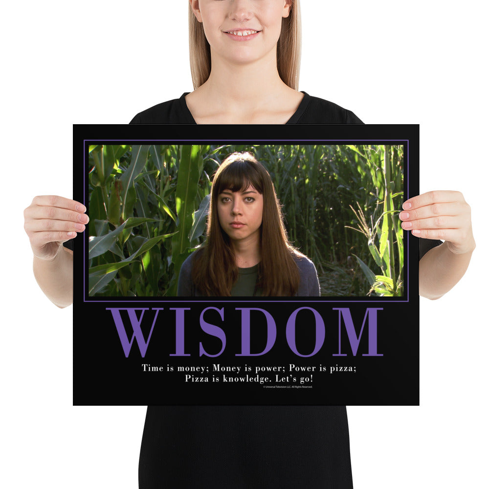 Wisdom Motivational Poster